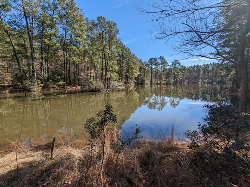 De 10 beste routes in Sam Houston - EyJidWNrZXQiOiJhc3NldHMuYWxsdHJhaWxzLmNvbSIsImtleSI6InVwbG9hZHMvcGhvdG8vaW1hZ2UvNTY0NTM4NjUvMjk4NTBmZmRiZWQ4OWZmMGViYjFjNTA3MzRmZDFjZGIuanBnIiwiZWRpdHMiOnsidG9Gb3JtYXQiOiJqcGVnIiwicmVzaXplIjp7IndpZHRoIjo1MDAsImhlaWdodCI6NTAwLCJmaXQiOiJpbnNpZGUifSwicm90YXRlIjpudWxsLCJqcGVnIjp7InRyZWxsaXNRdWFudGlzYXRpb24iOnRydWUsIm92ZXJzaG9vdERlcmluZ2luZyI6dHJ1ZSwib3B0aW1pc2VTY2FucyI6dHJ1ZSwicXVhbnRpc2F0aW9uVGFibGUiOjN9fX0=