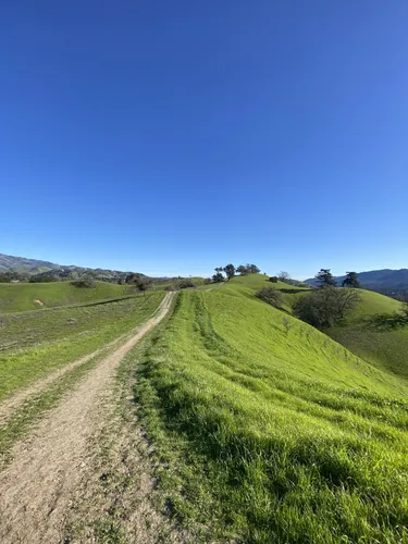 Best Hikes and Trails in Sugarloaf Open Space AllTrails