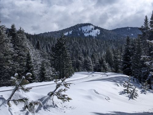 2023 Best Moderate Trails In Donner Memorial State Park Alltrails 3797