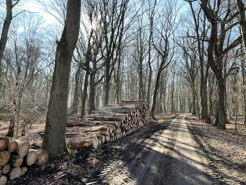 Alfter: Heimatblick-Runde