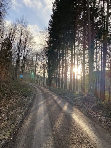 Runde im Rohrbrunner Forst