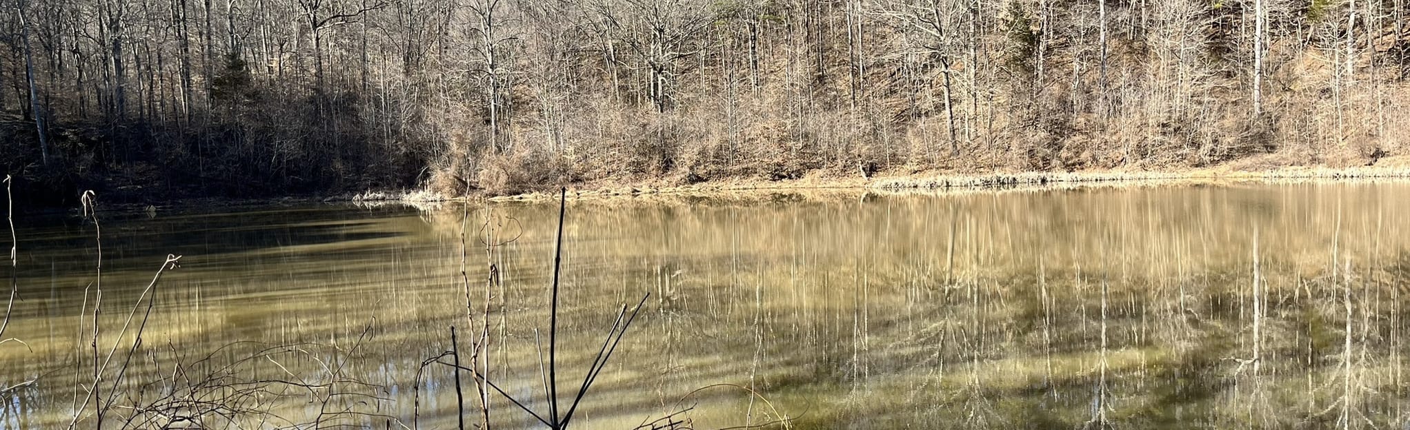 Iron Mountain Trail, North and South Legs 7 Reviews, Map Illinois