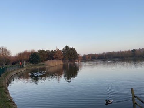 Best Hikes and Trails in Rushcliffe Country Park AllTrails