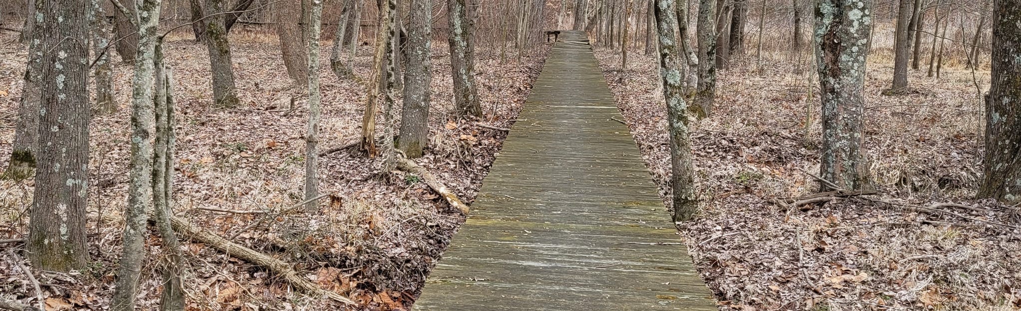 AllTrails | Sawmill Hollow Trail: 68 Reviews, Map - Indiana