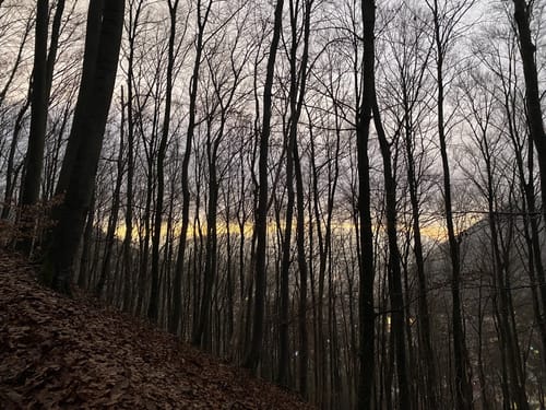 Hochbergsteig (Premiumwanderweg)