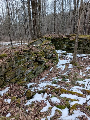 Best Hikes and Trails in The Stone Quarry | AllTrails