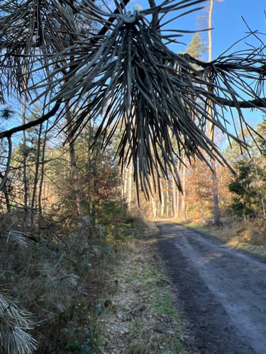 Runde bei Bornheim