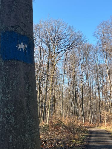 Runde bei Bornheim