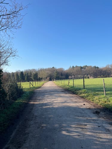 Runde bei Bornheim