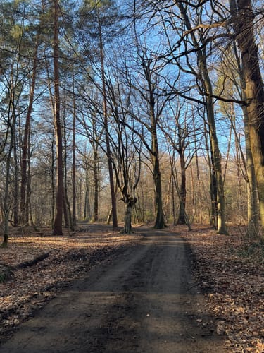 Runde bei Bornheim