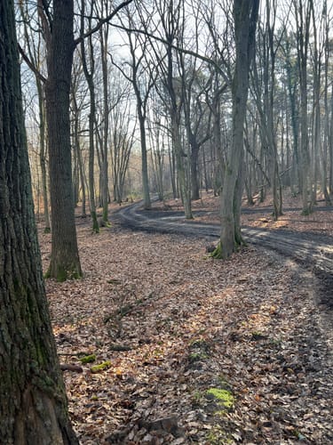 Runde bei Bornheim