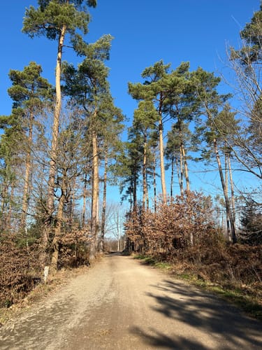 Runde bei Bornheim