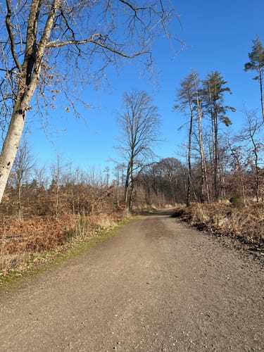 Runde bei Bornheim