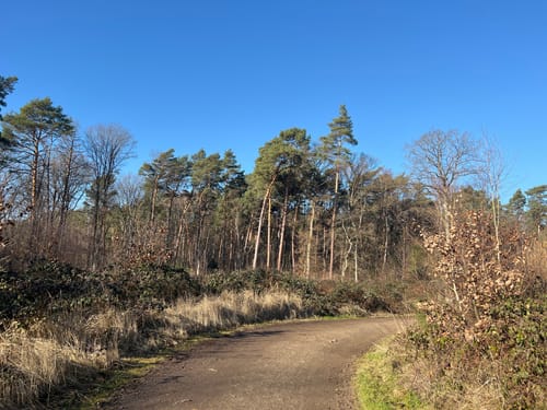Runde bei Bornheim