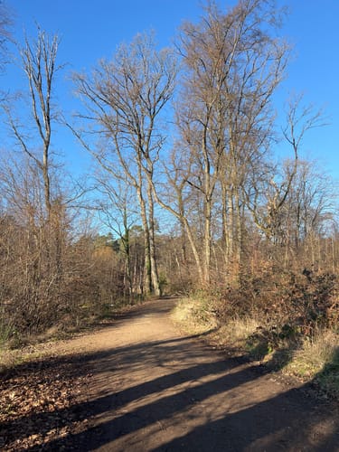 Runde bei Bornheim