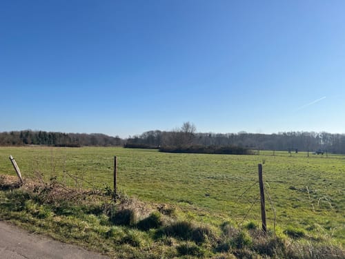 Runde bei Bornheim