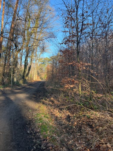 Runde bei Bornheim
