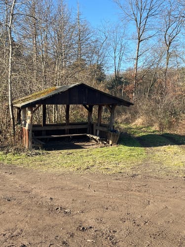 Runde bei Bornheim