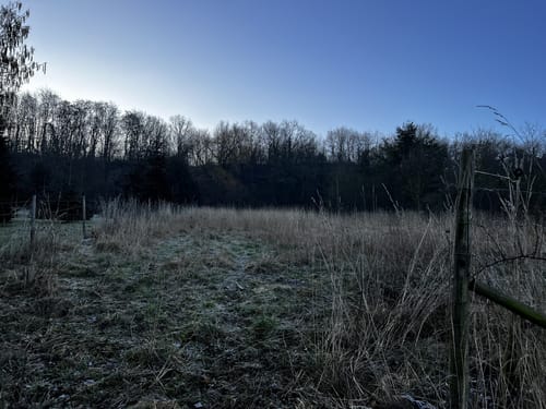 Runde bei Bornheim