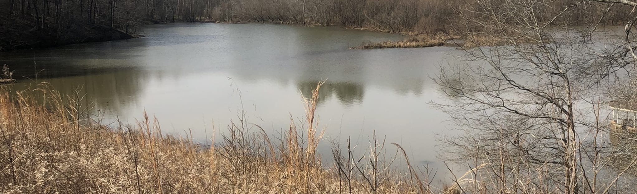 Chicopee Backcountry Trail Map, Guide AllTrails