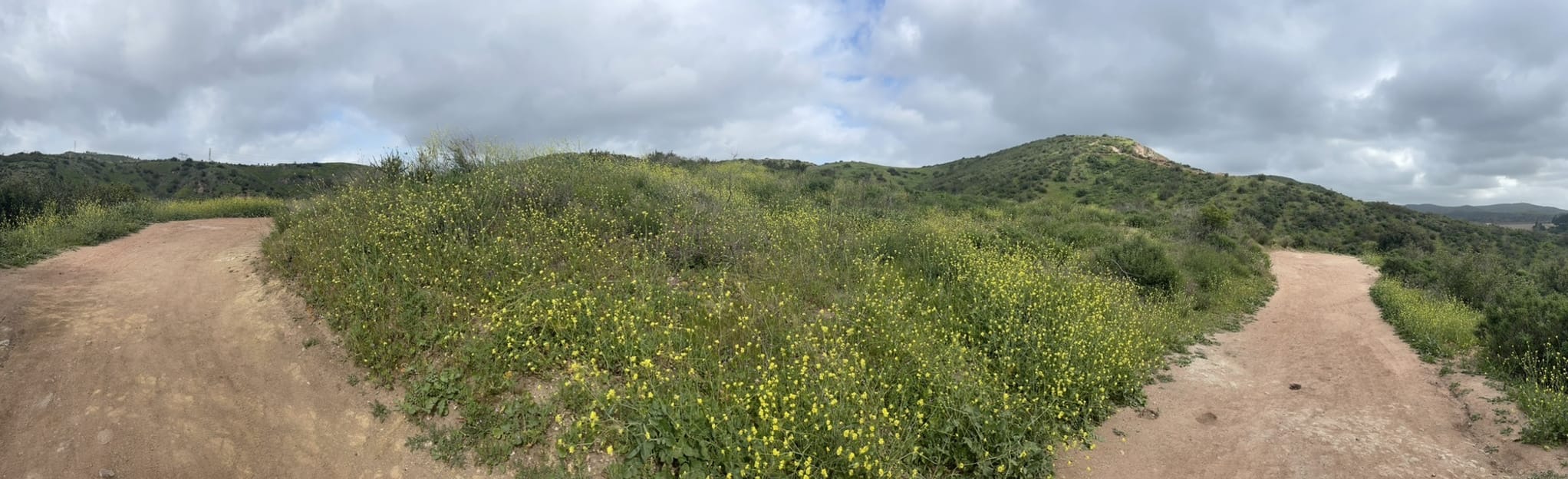 Santiago Oaks and Peralta Hills Loop, California 1,303 Reviews, Map