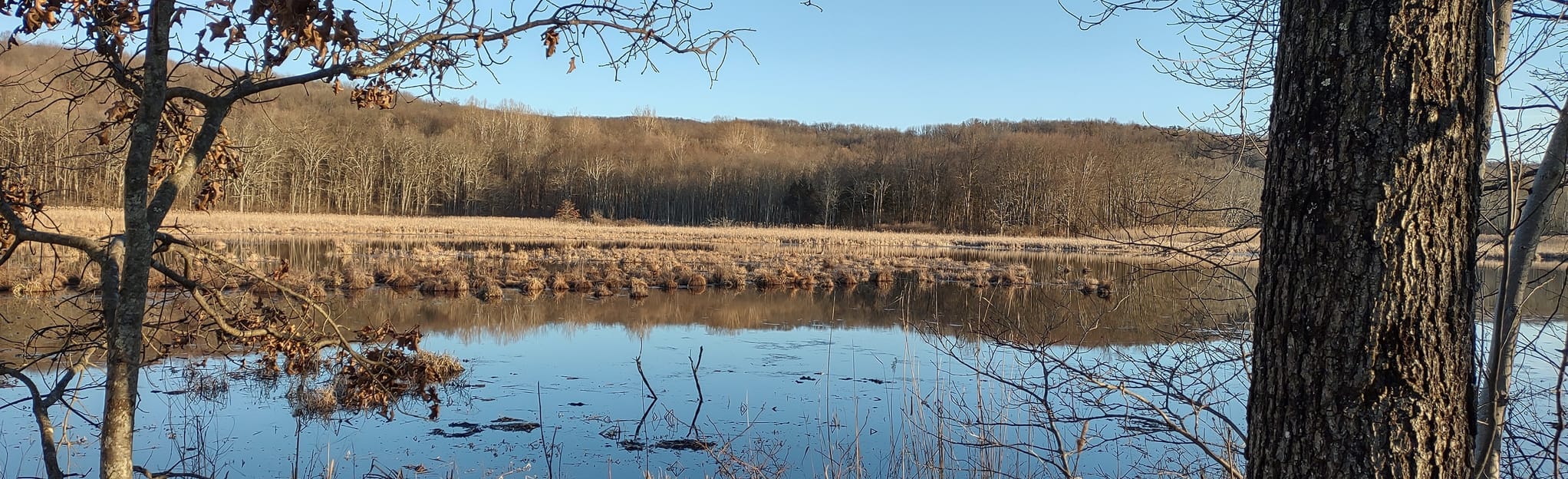 Timberdoodle Trail, New Jersey 55 Reviews, Map AllTrails