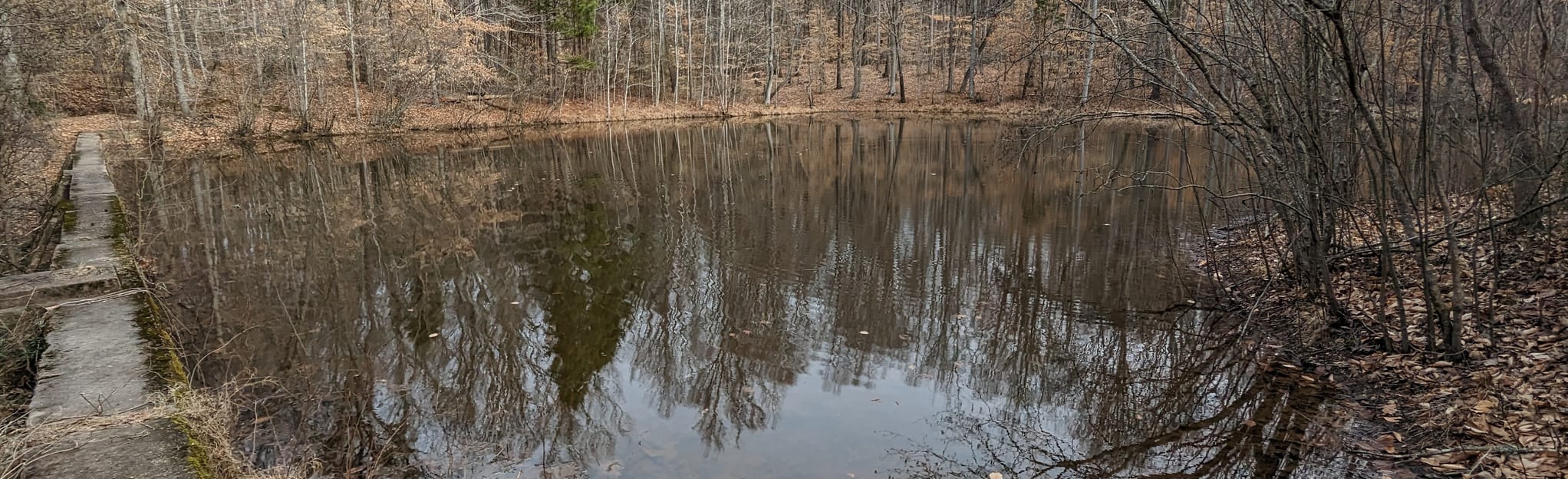 Gold Hill Rail Trail, North Carolina 36 Reviews, Map AllTrails