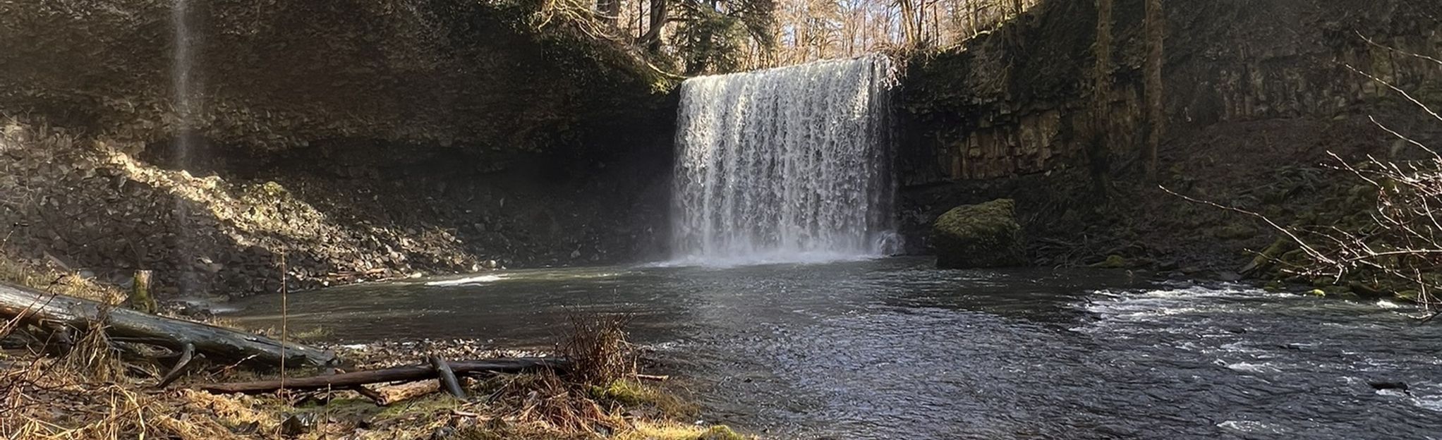 Beaver Falls Trail Oregon 571 Reviews Map Alltrails