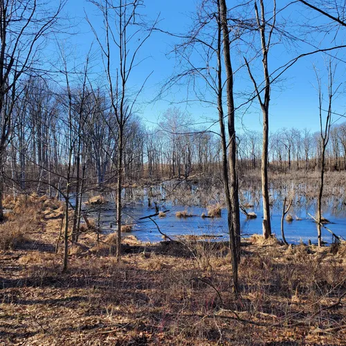 2023 Best Walking Trails in Silver Lake AllTrails