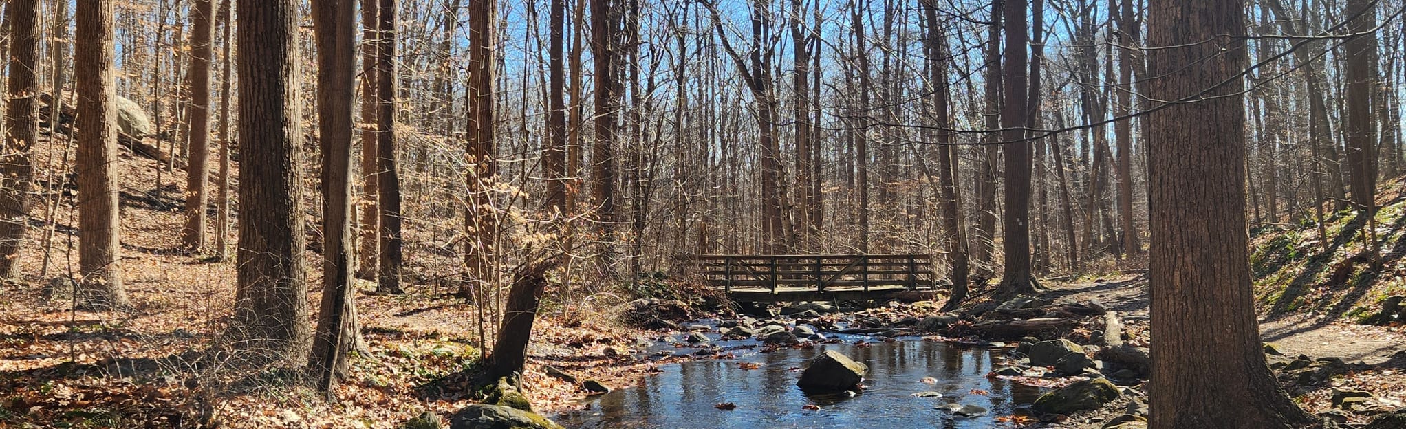 Patriots Path and Pink Trail Loop Map, Guide New Jersey AllTrails