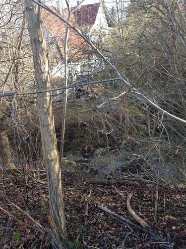 Bissingen an der Teck zum See