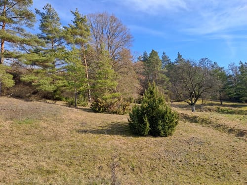 Diebach - Bockenfeld