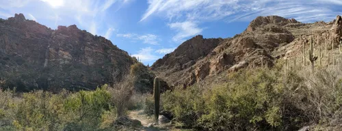 10 Best Waterfall Trails in Tucson | AllTrails