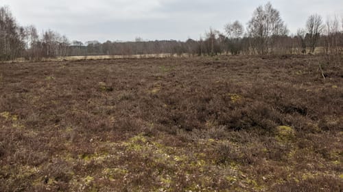 Naturschutzgebiet Wittmoor von Duvenstedt
