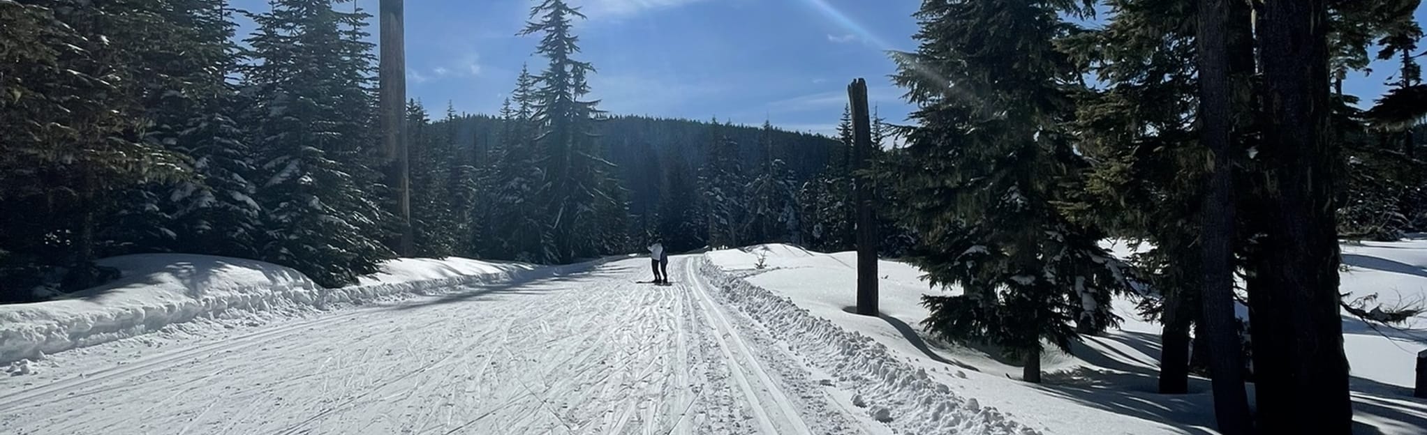 Teacup Nordic Medium Loop, Oregon 126 Reviews, Map AllTrails