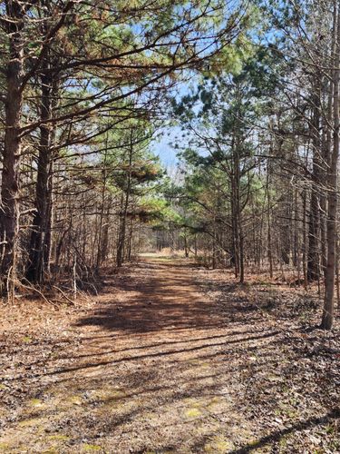 Best Hikes and Trails in Black Bayou Lake National Wildlife Refuge ...