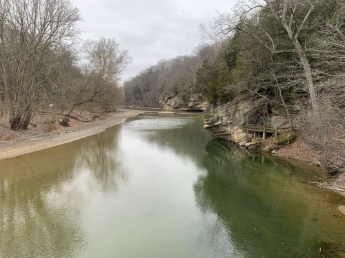 are dogs allowed at turkey run state park