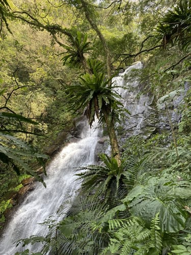 青山瀑布 - hikes and trails to get you there | AllTrails