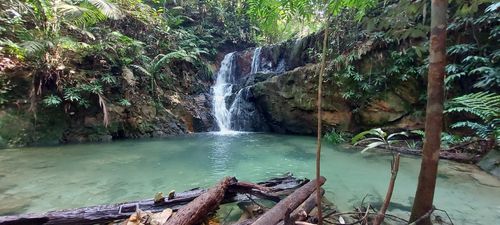 2023 Best 10 Forest Trails in Hutan Simpan Ayer Hitam | AllTrails