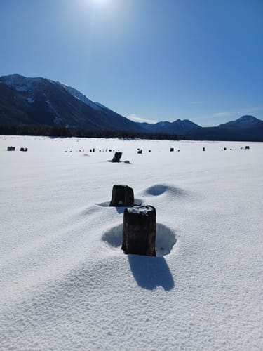 Best Hikes and Trails in Bumping Lake Sno-Park | AllTrails