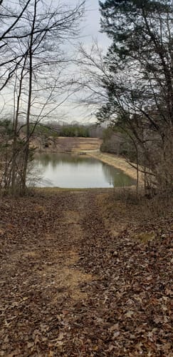 2023 Best Walking Trails in Powhatan Wildlife Management Area AllTrails