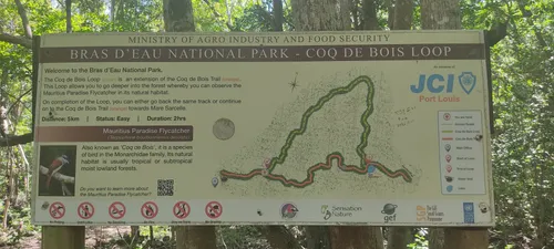 Nature Walk - Review of Bras d'Eau National Park, Poste Lafayette