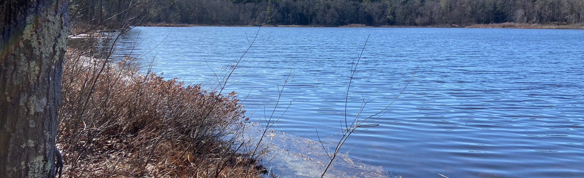 Great Pond Long Loop 135 Reviews, Map Connecticut AllTrails