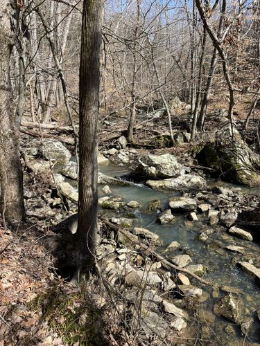 Best Hikes and Trails in Dixon Springs State Park | AllTrails