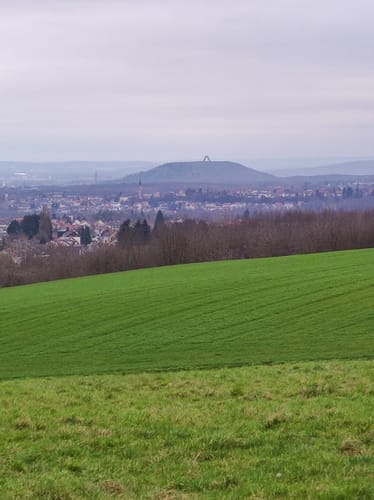 Hohe Berg  - Rehbruchweiher