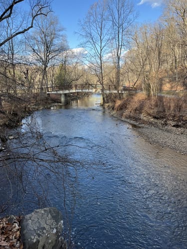 Hidden Escapes: 5 Beautiful Hiking Trails in Takoma Park – Maryland
