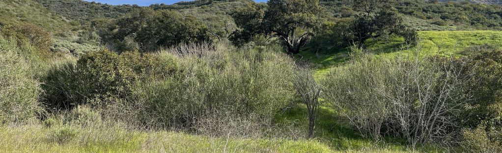 Boney Fossil Loop: 328 Reviews, Map - California | AllTrails