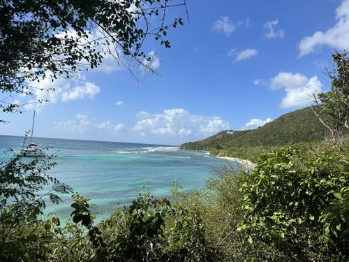 Best 10 Hikes And Trails In Virgin Islands National Park Alltrails