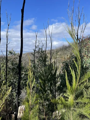 Croajingolong national 2025 park hike