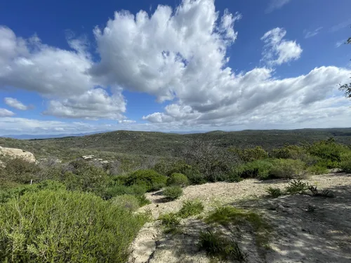 10 Best Hikes and Trails in Crystal - EyJidWNrZXQiOiJhc3NldHMuYWxsdHJhaWxzLmNvbSIsImtleSI6InVwbG9hZHMvcGhvdG8vaW1hZ2UvNTY2MjMxMDAvOGM2YjQ0YjYzYTU3MGY4NzExZDFkNGUzYWFkOGNjMzAuanBnIiwiZWRpdHMiOnsidG9Gb3JtYXQiOiJ3ZWJwIiwicmVzaXplIjp7IndpZHRoIjo1MDAsImhlaWdodCI6NTAwLCJmaXQiOiJpbnNpZGUifSwicm90YXRlIjpudWxsLCJqcGVnIjp7InRyZWxsaXNRdWFudGlzYXRpb24iOnRydWUsIm92ZXJzaG9vdERlcmluZ2luZyI6dHJ1ZSwib3B0aW1pc2VTY2FucyI6dHJ1ZSwicXVhbnRpc2F0aW9uVGFibGUiOjN9fX0=